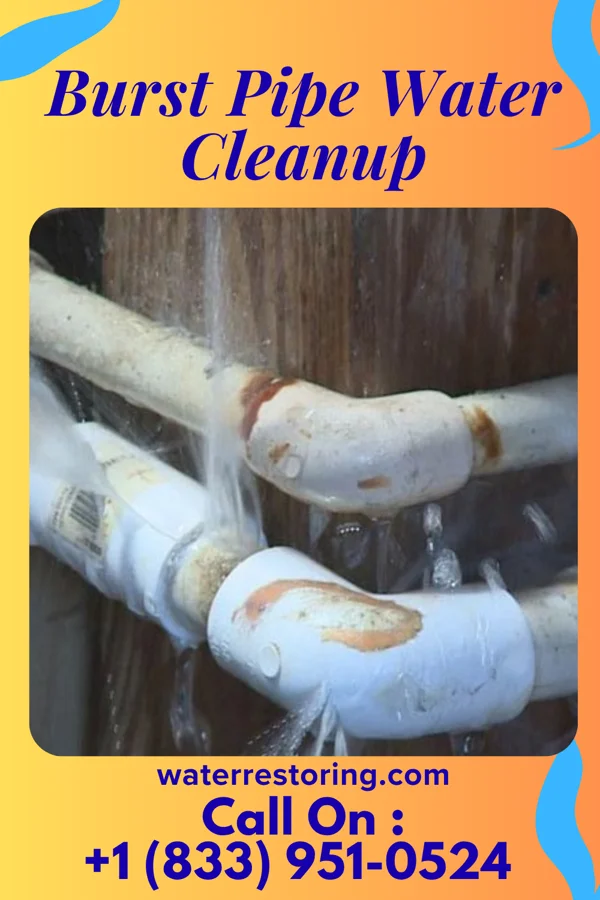 Burst Pipe Water Cleanup in Wellsville, OH