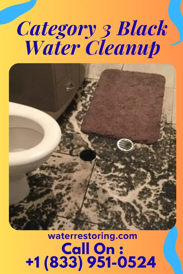 Category 3 Black Water Cleanup in Wellsville, OH