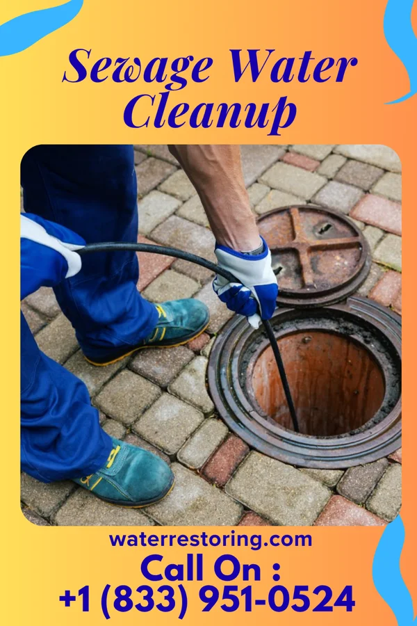 Sewage Water Cleanup in Wellsville, OH