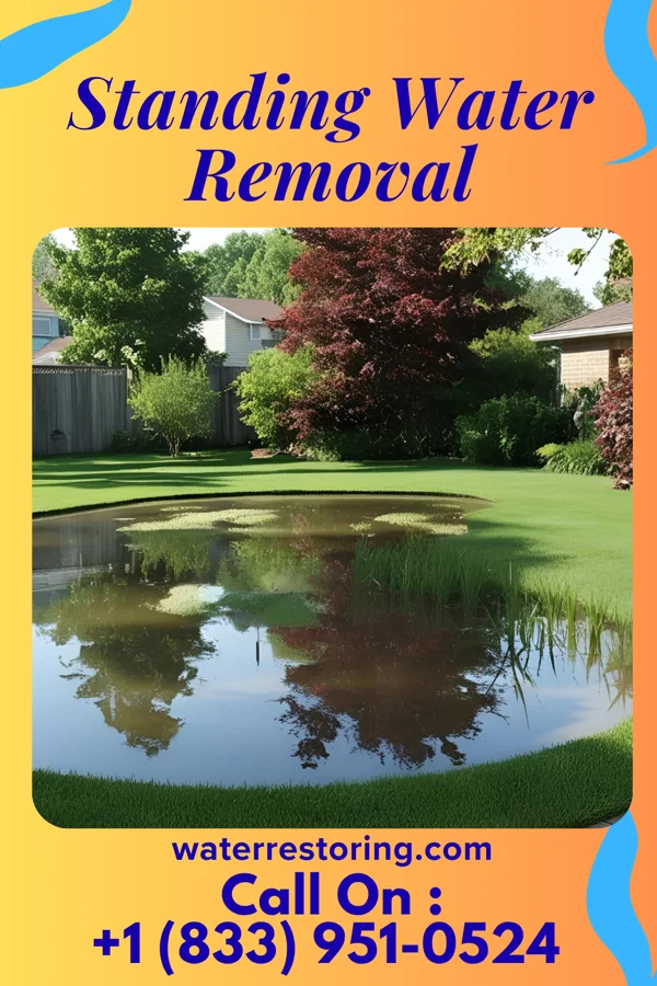 Standing Water Removal in Wellsville, OH